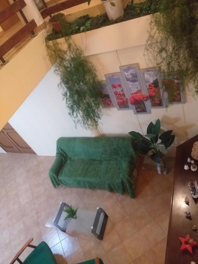 Bed and Breakfast Casa Maria Негрешть-Оаш Екстер'єр фото